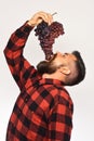 Winegrower with busy face eats cluster of grapes.