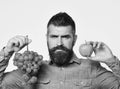 Winegrower with serious face holds grapes and red fruit. Royalty Free Stock Photo