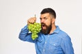 Winegrower with wild hungry face holds cluster of grapes.