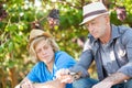 Winegrowers in straw hats relaxing in garden