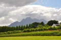 winelands Cape Town South Africa Royalty Free Stock Photo