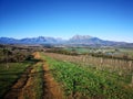 Winelands