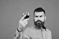 Winemaker with concentrated face holds wineglass. Viticulture and autumn concept. Royalty Free Stock Photo