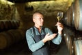 Winemaker inspecting quality of wine in winery cellar