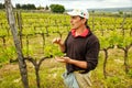 Winemaker standing in his vineyard near Montalcino, Val d`Orcia,