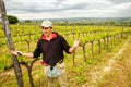 Winemaker standing in his vineyard near Montalcino, Val d`Orcia,