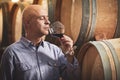 Winemaker tasting red wine in front of wine barrels Royalty Free Stock Photo