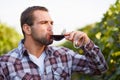 Winemaker tasting red wine Royalty Free Stock Photo