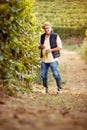 Winemaker in the vineyard