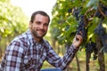 Winemaker in vineyard