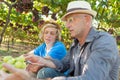 Winemakers father share its experience with son Royalty Free Stock Photo