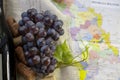 Winemaking concept. A bunch of grapes, a vine, part of a wine bottle and a cork. Against the background part of a map of Moldova. Royalty Free Stock Photo