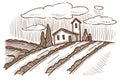 Winemaking farm, house and grape plantation fields landscape sketch