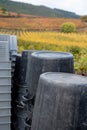 Winemaking in oldest wine region in world Douro valley in Portugal, plastic buckets for harvesting of wine grapes, production of