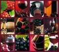 Winemaking and wine tasting culture photo collage mosaic Royalty Free Stock Photo