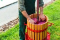 Winepress machine.Young man making wine using wooden winepress machine. Crusher on grass outdoors. Grape harvest. Concept of small Royalty Free Stock Photo