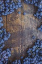 Winery brand logo background. Blue grapes on the top of wine barrel. Royalty Free Stock Photo
