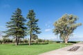 Winery Garden Mendoza Argentina Royalty Free Stock Photo