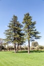 Winery Garden Mendoza Argentina Royalty Free Stock Photo