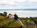 Winery landscape in Badacsony