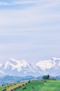 Winery landscape of, vineyards olive trees and snow caped mountains Royalty Free Stock Photo