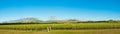 Winery of New Zealand Royalty Free Stock Photo