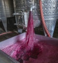 Winery producing wine, Grape ju in tank. Wine fermentation tanks. Wine fermentation process Red grapes in fermentation tank. Royalty Free Stock Photo