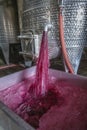 Winery producing wine, Grape ju in tank. Wine fermentation tanks. Wine fermentation process Red grapes in fermentation tank. Royalty Free Stock Photo