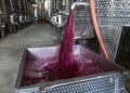 Winery producing wine, Grape ju in tank. Wine fermentation tanks. Wine fermentation process Red grapes in fermentation tank. Royalty Free Stock Photo
