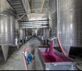 Winery producing wine, Grape ju in tank. Wine fermentation tanks. Wine fermentation process Red grapes in fermentation tank. Royalty Free Stock Photo