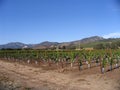 Winery - Sonoma Valley - California Royalty Free Stock Photo