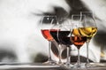 Wines assortment. Red, white, rose wine in wineglasses on gray background. Wine tasting concept. Hard sunlight and shadows from Royalty Free Stock Photo