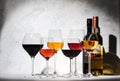 Wines assortment. Red, white, rose wine in wineglasses on gray background. Wine tasting concept. Hard sunlight and shadows from Royalty Free Stock Photo