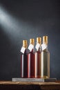 Wines assortment. Several 250 ml bottles of red, pink, white dry dessert wines with blank labels, mockup template. Vertical shot.