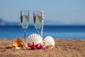 Wines glasses,shells,starfishes