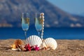 Wines glasses,shells,starfishes