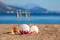 Wines glasses,shells,starfishes Royalty Free Stock Photo