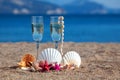 Wines glasses,shells,starfishes Royalty Free Stock Photo