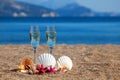 Wines glasses,shells,starfishes Royalty Free Stock Photo