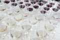 Winetasting glasses Royalty Free Stock Photo