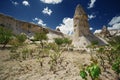 Wineyard at the geological rock formation in Cappadocia Royalty Free Stock Photo