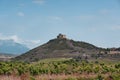 Wineyard landscape and Davalillo castle in the background, in La Rioja, Spain. Royalty Free Stock Photo