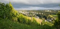 Wineyard with view over Trier, Moselle Valley in Rhineland Palatiane in Germany Royalty Free Stock Photo