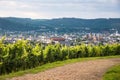 Wineyard with view over Trier, Moselle Valley in Rhineland Palatiane in Germany Royalty Free Stock Photo
