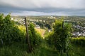 Wineyard with view over Trier, Moselle Valley in Rhineland Palatiane in Germany Royalty Free Stock Photo