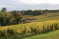 Sun over Winery in Saint Emilion