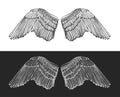 Wing Angel Hand Draw Sketch. Vector Royalty Free Stock Photo