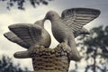 Kissing pigeons against the sky, close-up Royalty Free Stock Photo