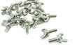 Wing bolt screws. Royalty Free Stock Photo