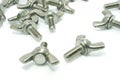 Wing bolt screws. Royalty Free Stock Photo